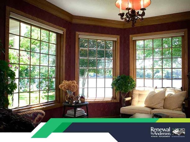 Expert Tips on Turning Windows Into Focal Points
